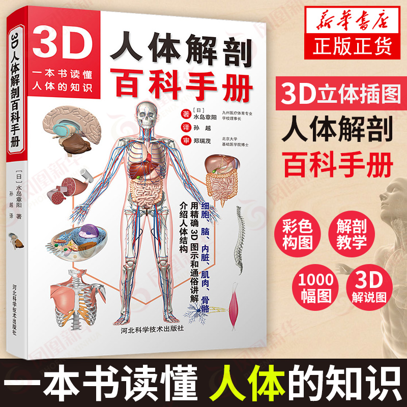 正版新书 3D人体解剖百科手册 人体解剖学彩色学图谱 物图谱解剖学医疗医学图谱入门书 西医解剖学外科医生学生用书 解剖学书籍 - 图0