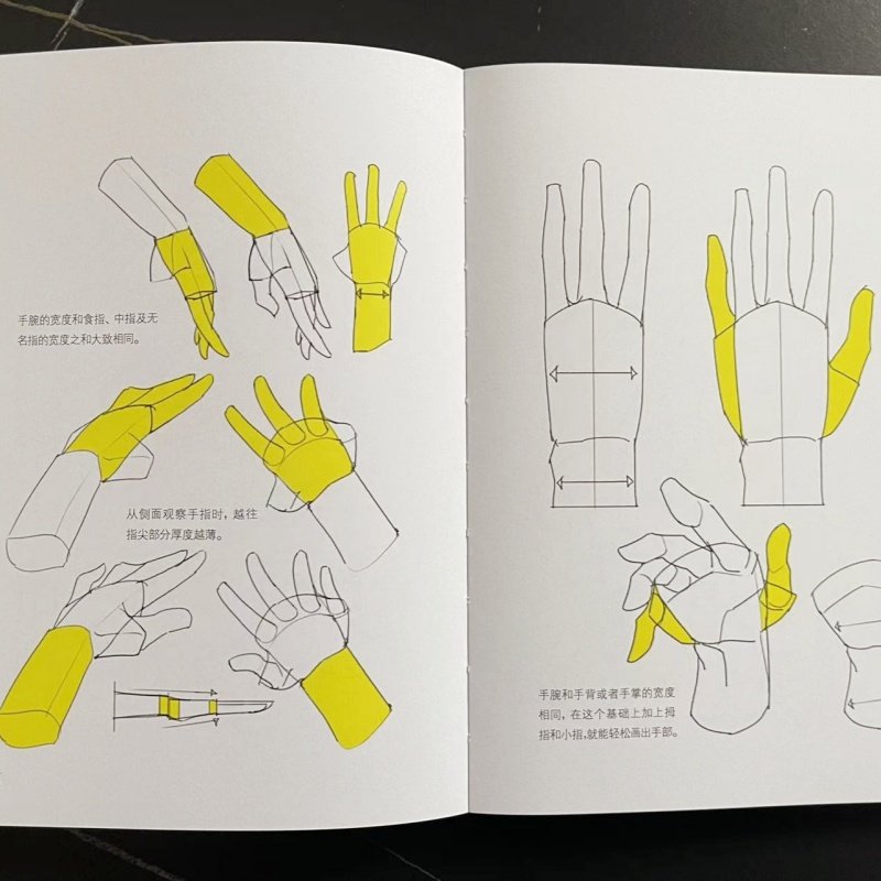 人体结构绘画重点 人体结构 人体绘画 崔元喜 TACO人体 解剖 动画人体结构教程 人体结构绘画教程 绘画技巧 绘画教程,淘宝优惠券,粉丝福利购,淘宝优惠卷