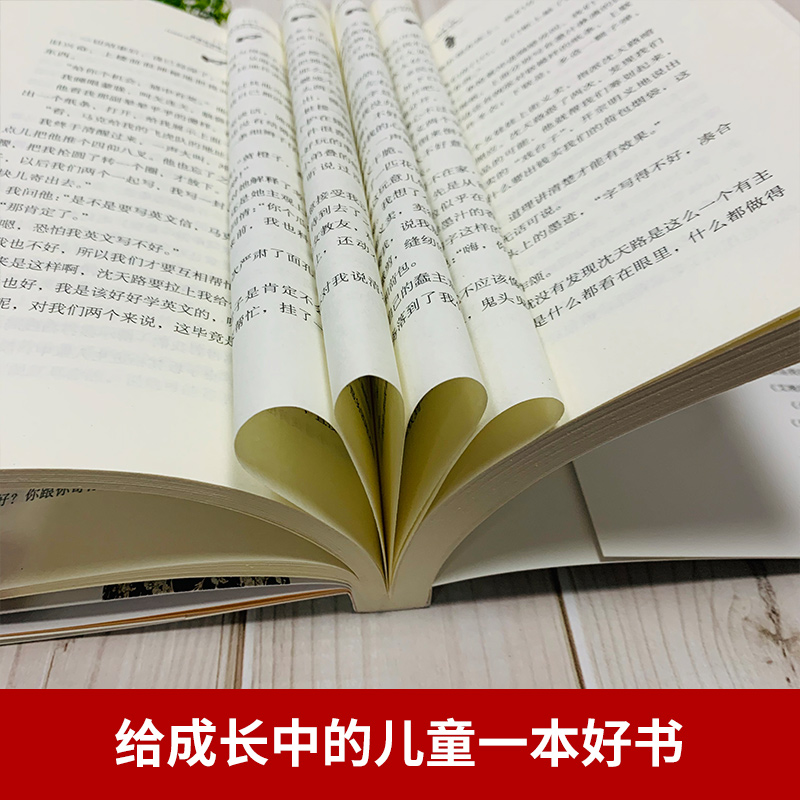 野蜂飞舞 正版书 黄蓓佳倾情小说系列 8-10-12岁儿童文学书籍 三四五六年级小学生课外书读物【凤凰新华书店旗舰店】 - 图2