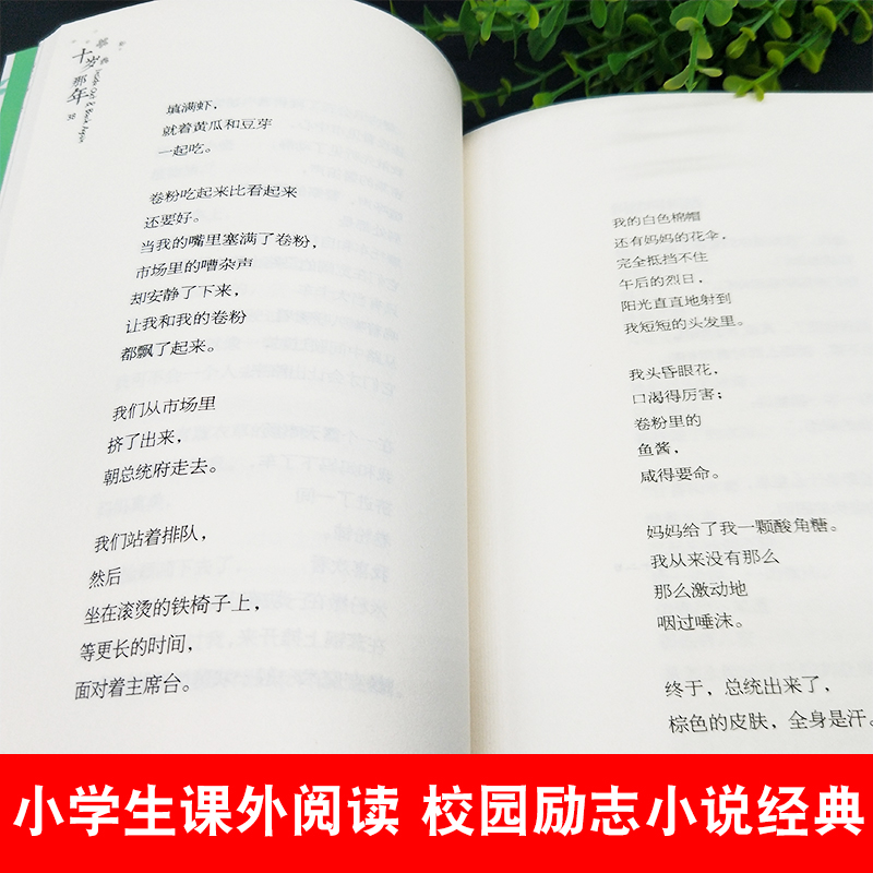 正版十岁那年长青藤大奖小说书系9-10-12-15岁三四五六年级小学生课外阅读书籍校园励志经典小说纽伯瑞儿童文学作品-图2