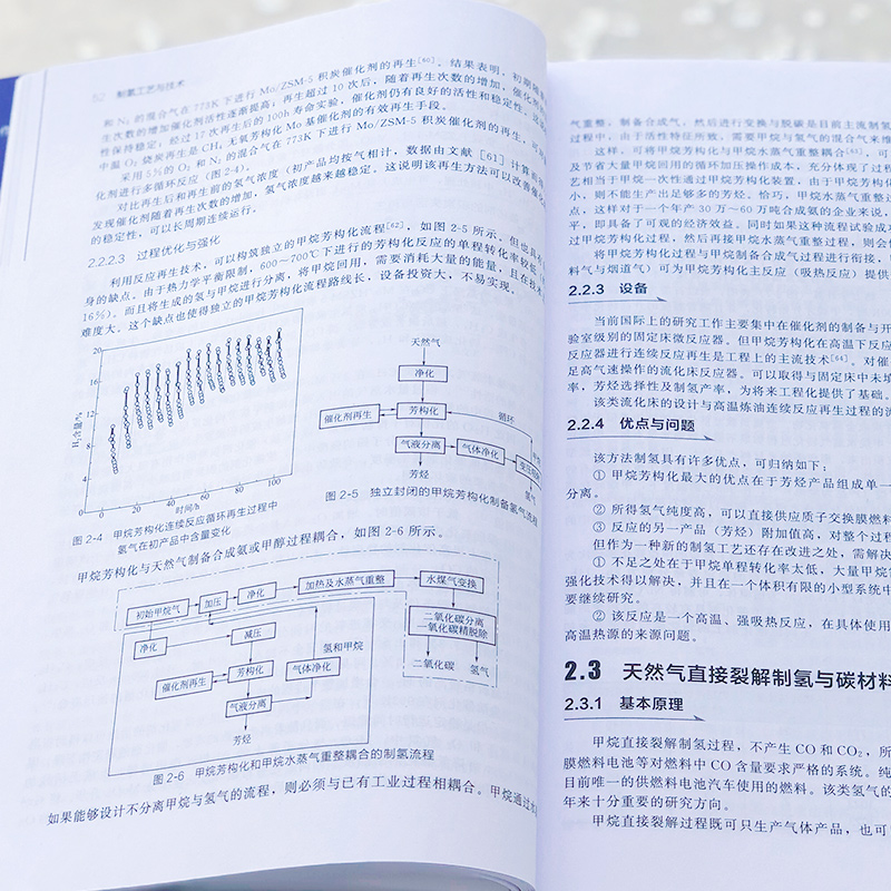 制氢工艺与技术 氢能利用关键技术系列 制氢技术 制氢方法 氢气工业生产 化学工业出版社 凤凰新华书店旗舰店 - 图2