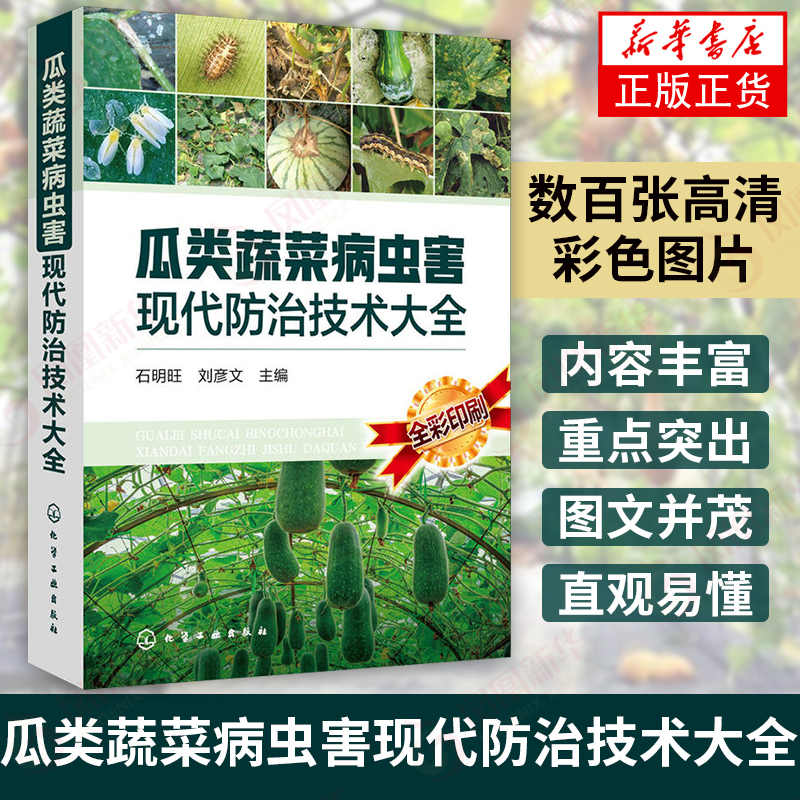 佛手瓜种子 新人首单立减十元 21年9月 淘宝海外