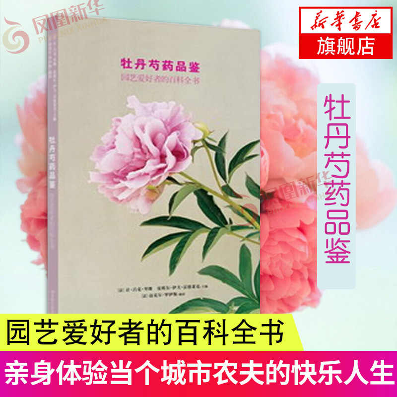 花卉盆栽牡丹花 新人首单立减十元 22年2月 淘宝海外