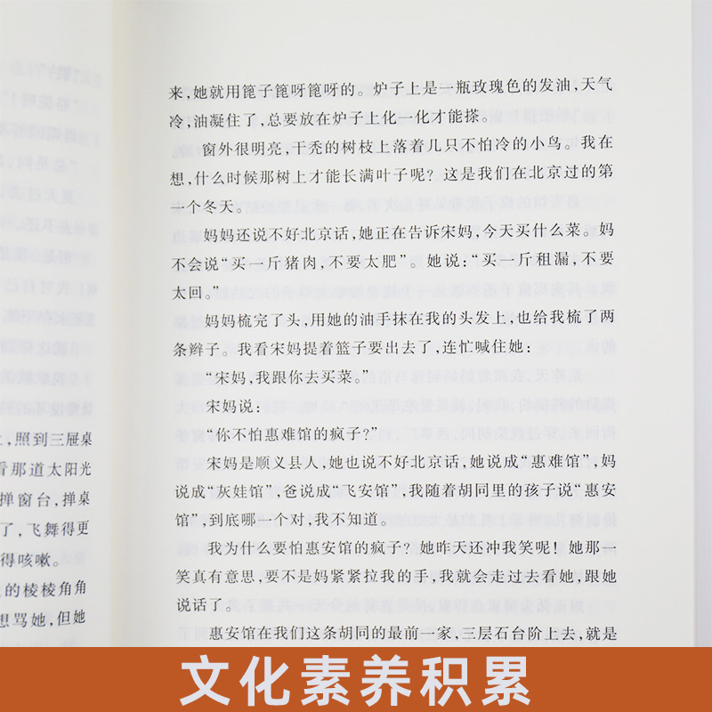 城南旧事 林海音著 中小学初中初一七7年级上册语文拓展文学名著阅读 人民文学出版社自主课外阅读书目凤凰新华书店正版文学读物 - 图2