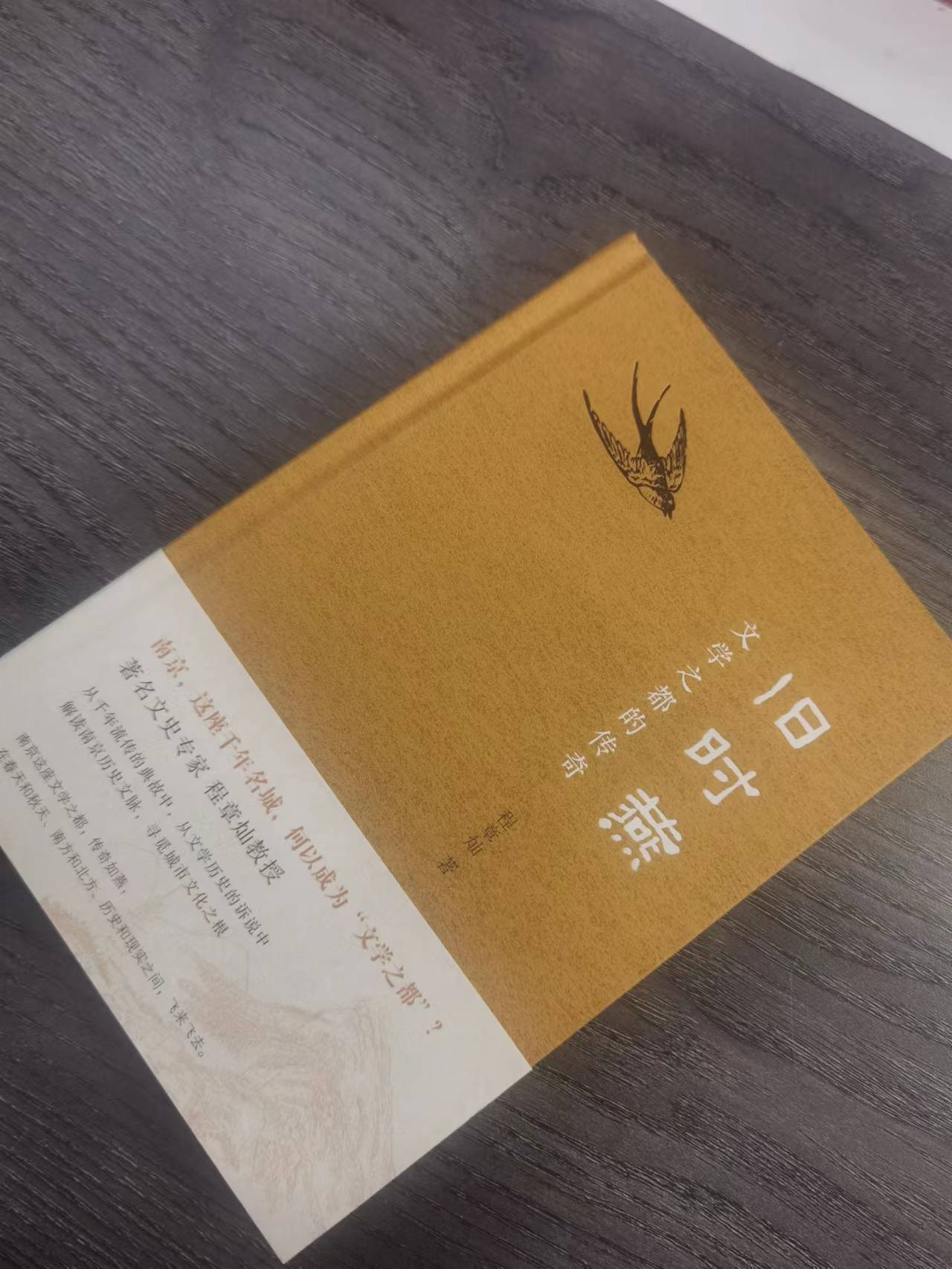 旧时燕文学之都的传奇文学专家程章灿教授关于南京的典故随笔文学读物解读南京历史文脉寻觅城市文化之根南京大学出版社新华正版-图0