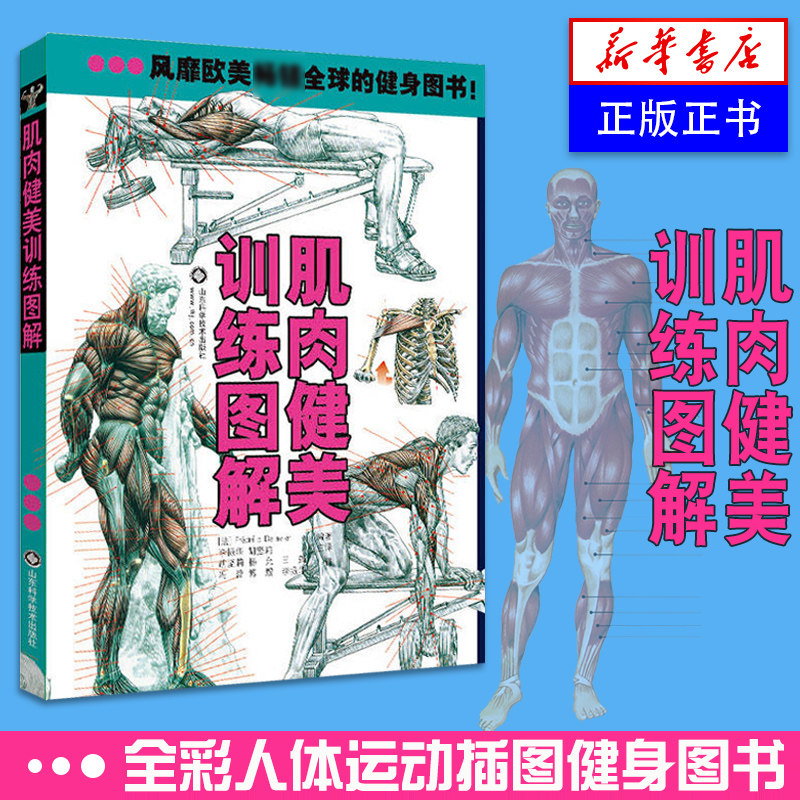 肌肉健美训练图解德拉威尔运动肌肉解剖学图谱健身教程大全健身书籍增肌书籍健身教练书籍功能性训练书肌肉拉伸训练力量训练解剖书 凤凰新华书店旗舰店