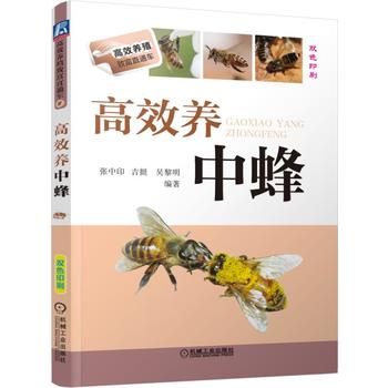 正版 高效养中蜂 蜜蜂养殖技术书籍 养蜂书 养蜂书籍实用手册 中华蜂土蜂中蜂饲养新技术书【新华书店官方正版】农业科学养殖技术 - 图2