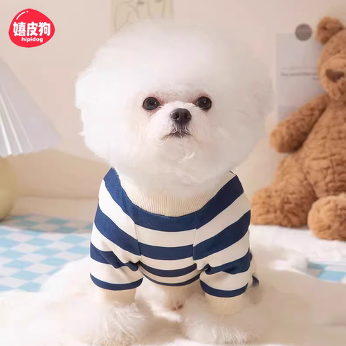 立体小熊小狗狗四脚衣服雪纳瑞比熊小型犬泰迪宠物秋冬款冬季秋装 - 图0