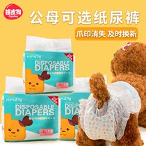 Dog Physiology Pants Aunt towels toilet paper Urine Pants Menstrual Puppy not wet menstrual pet male dog special mother dog