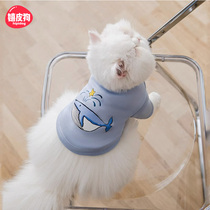 Cute pet kitty clothes anti-fall Mao fall autumn Inshort blue cat Puppet Puppet Garfy kitty kitty cat sweatshirt