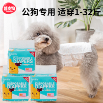 Dogs pee not wet Pets public dog special Bibear teddy physiology small dog diaper paper diaper politeness and anti-piss