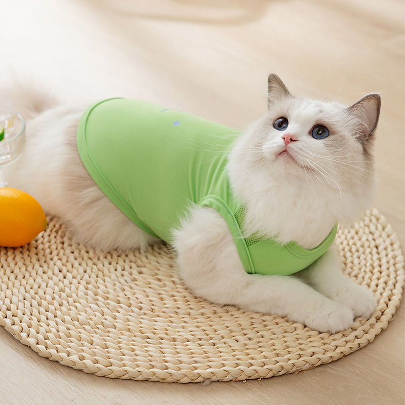 猫咪衣服防掉毛夏季薄款布偶猫狗狗夏天小猫宠物幼猫防晒猫猫背心 - 图0