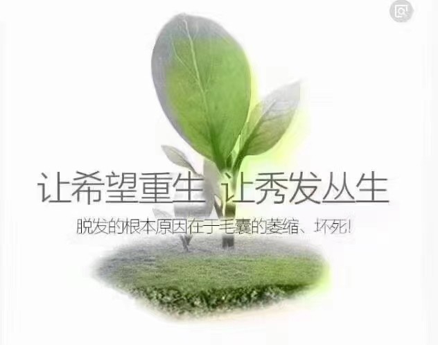 阿嫲工坊中干性洗发水纯天然植物提取去屑止痒防脱发环保健康产品-图2