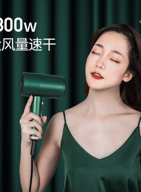 电吹风机家用理发店负离子护发