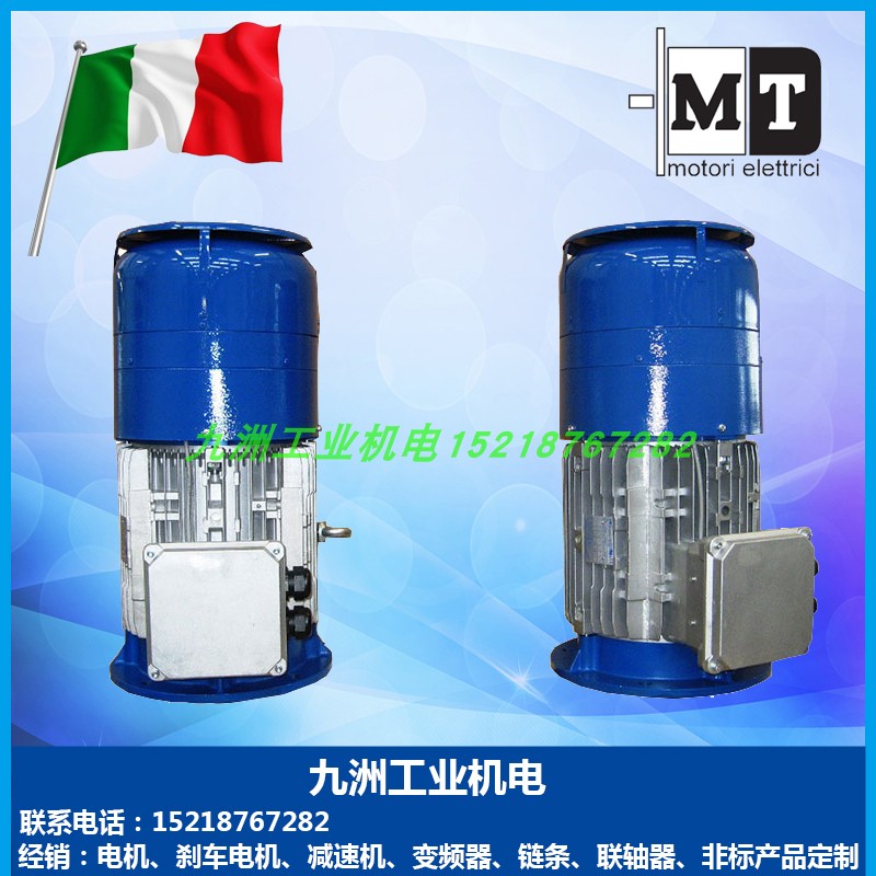 MT刹车电机TF63B4 A4 71B4 80B4 90L4 TFP100B4 TFP112B4 132MB4 - 图1