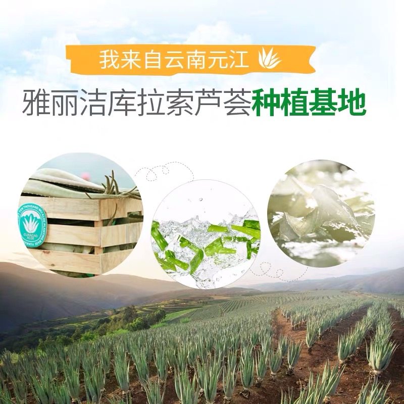 雅丽洁芦荟菁萃洁面保湿精华女套盒 yalget雅丽洁黛维雅面部护理套装