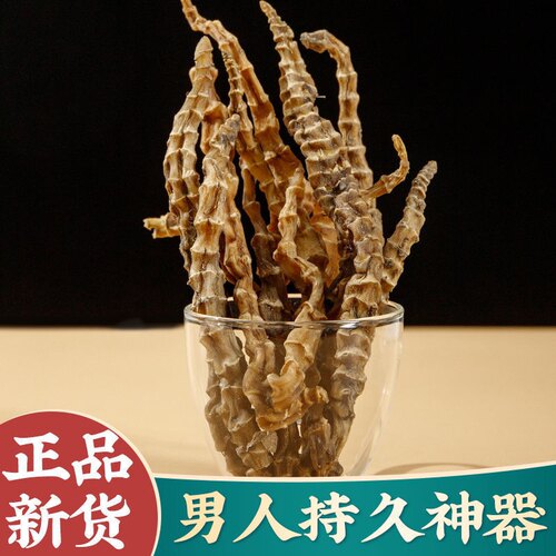【顶天柱不老草】阳劲鞭 野生中草药泡酒泡茶料 云南苗家腾冲特产 - 图1