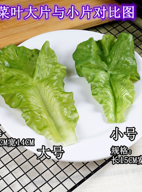仿真生菜绿叶垫片模型