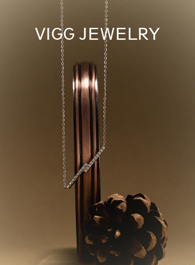 VIGG地平线项链女高级感锁骨链2025年新款潮s925纯银时尚百搭配饰