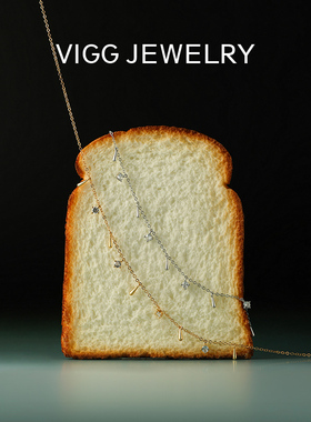 VIGG星雨项链女轻奢小众设计感