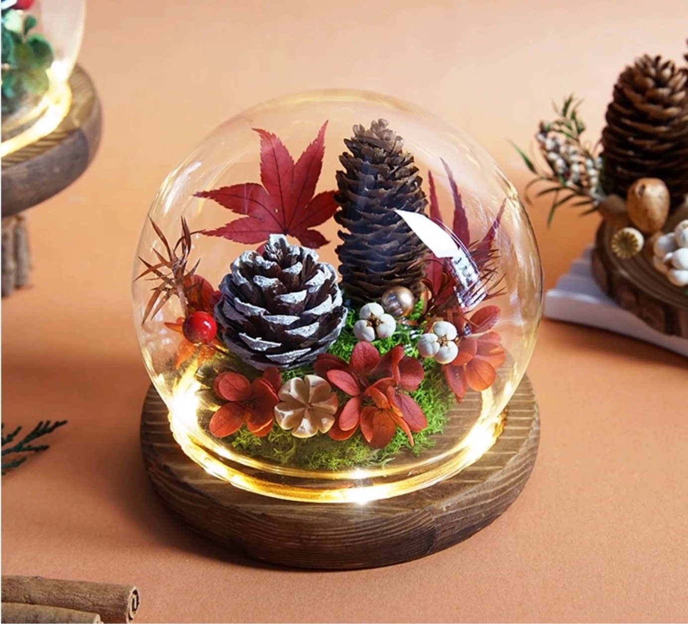 圣诞节礼物送朋友创意礼品氛围感许愿灯桌面摆件DIY木塞玻璃厂家,淘宝优惠券,粉丝福利购,淘宝优惠卷