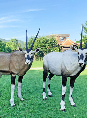 大型仿真藏羚羊景观庭院动物摆件