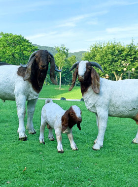 户外草坪仿真动物园景区雕塑