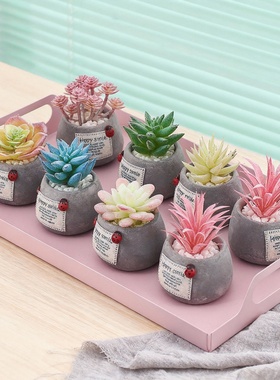 手工DIY多肉盆栽桌面摆件礼物