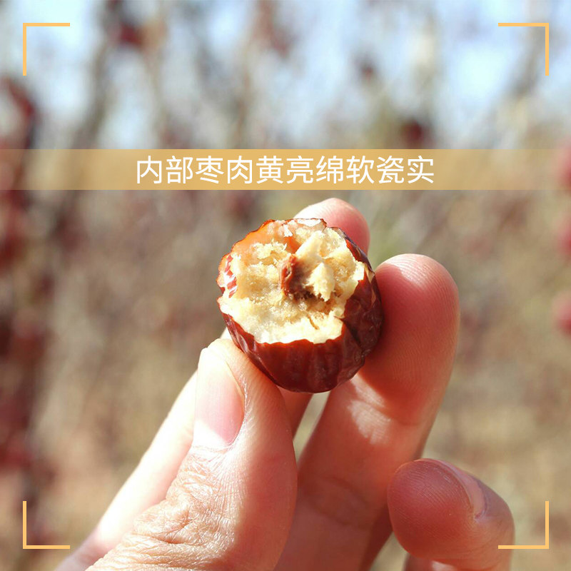 【商超同款】语味新疆小枣零食灰枣 语味枣类制品