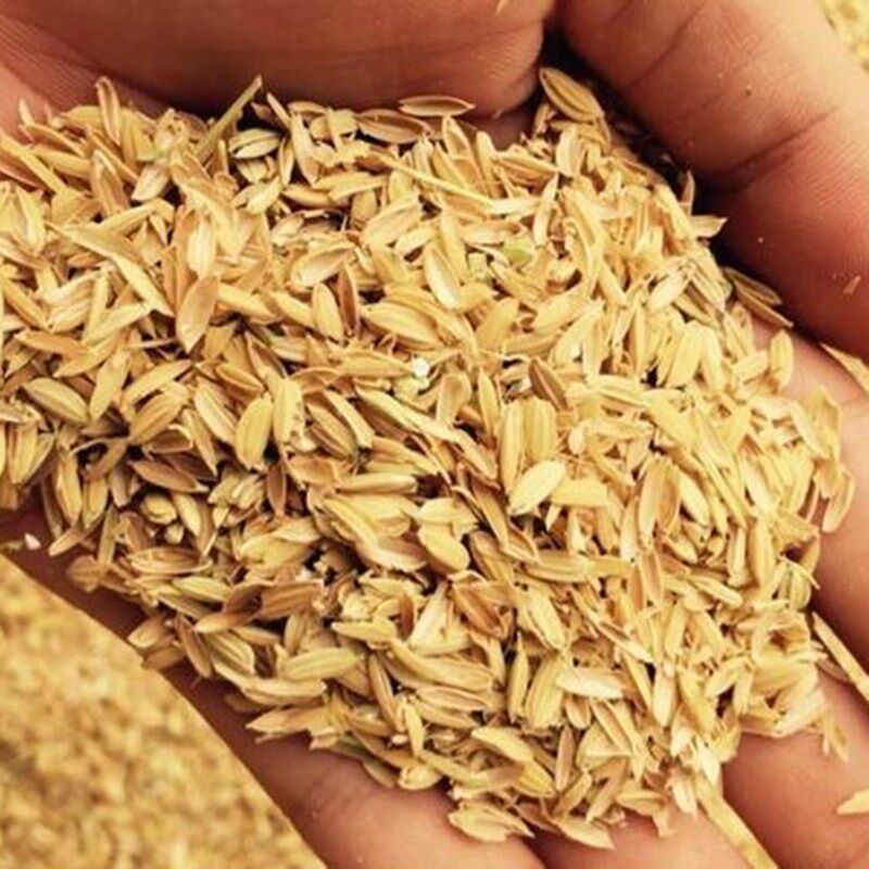 稻谷壳发酵种菜,谷壳怎么发酵最简单,稻谷壳可以用来种菜吗_大山谷图库