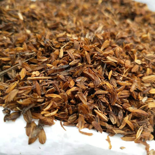 发酵腐熟稻壳植料营养土多肉基质介质兰花君子兰铁皮辅助性介质 - 图0