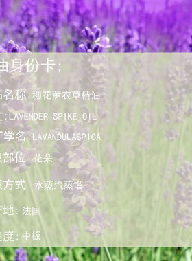 薰衣草纯单方香薰精油测试推荐