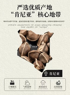 肯尼亚产区 有机辣木籽油纯精油鼓槌树籽油按摩护肤芳疗级基础油