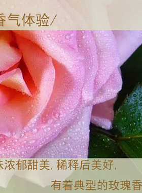 英国玫瑰精油舒缓修护抗皱推荐