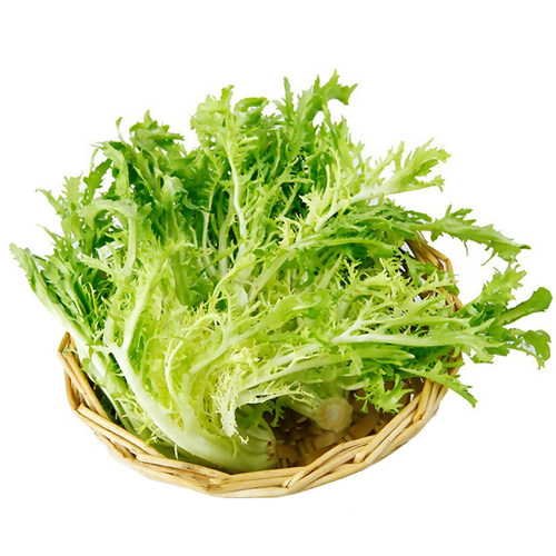 新鲜黄心苦菊500g沙拉蔬菜苦苣九芽狗牙苦细叶生菜西餐健身轻食材 - 图3
