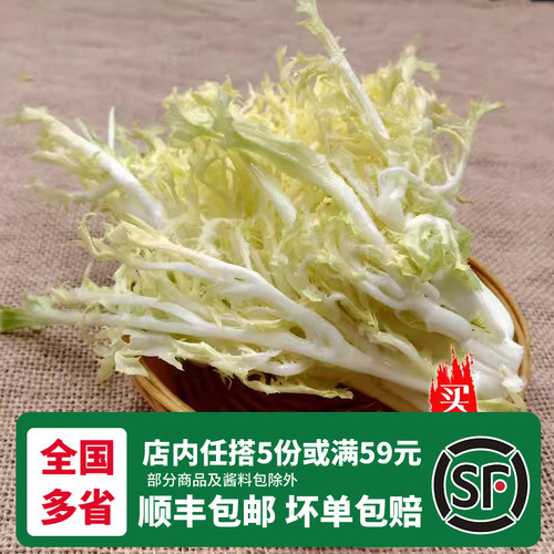 新鲜黄心苦菊500g沙拉蔬菜苦苣九芽狗牙苦细叶生菜西餐健身轻食材 - 图1