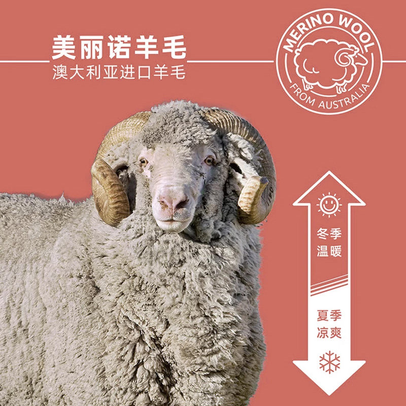 赛乐美丽诺羊毛慢跑裤280g散热透气运动速干长裤跑步训练休闲裤,淘宝优惠券,粉丝福利购,淘宝优惠卷