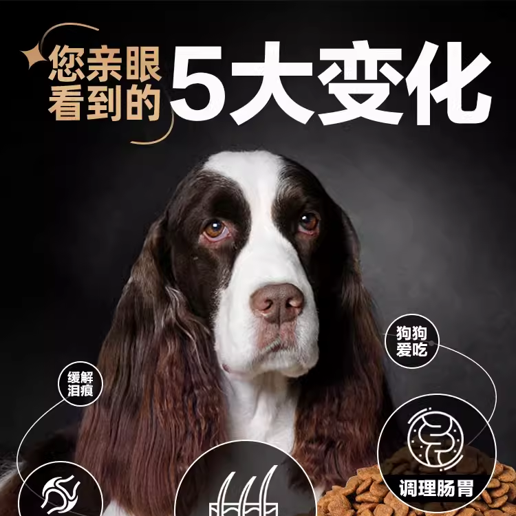 伯纳天纯狗粮40斤装幼犬成犬通用型泰迪柯基金毛味臻纯犬粮专用粮 - 图1