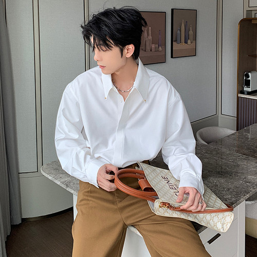 Hualun抗皱衬衫男士长袖高级感痞帅纯色内搭上衣cleanfit免烫衬衣 - 图1