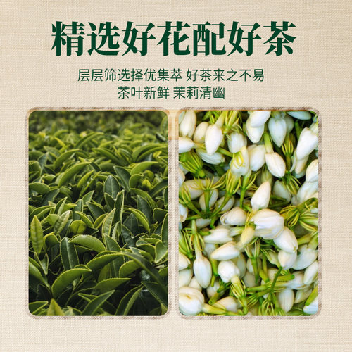 广村T世家茉莉绿茶600g 茉香绿茶叶冲调甜品咖啡奶茶店专用 - 图2