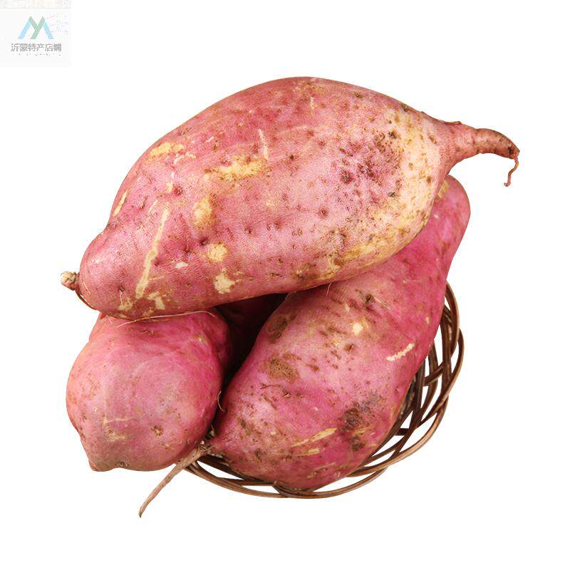 沙地紅薯新鮮地瓜紫薯黃心地瓜小紅薯紅心紅薯白心紫山芋農家現挖 淘寶天貓 Line購物