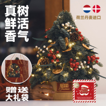 2023 new Knobesson Christmas Tree Fresh True Tree Small Home Desktop Mini pendulum to decorate Christmas presents