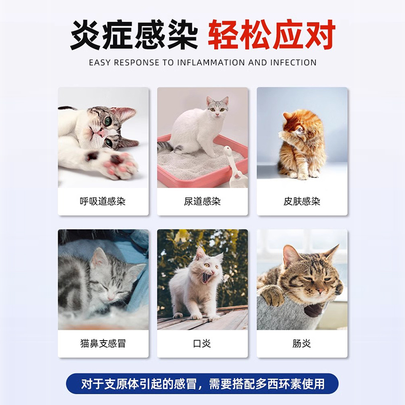 速诺猫狗消炎片阿莫西林克拉维酸钾宠物猫咪感冒药猫鼻支多西环素 - 图0