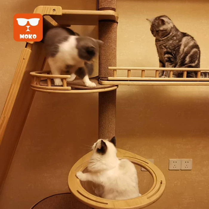 MOKO solid wood wall cat climbing shelf DIY cat tree cat nest integrated Tiaizhu cat tower combination cat house customization