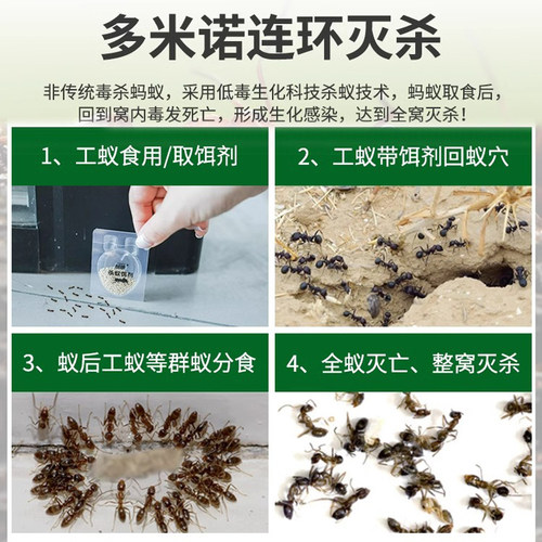 郁康除灭蚂蚁药室内全窝家用端厨房灭蚁非无毒杀红黑黄小蚂蚁饵剂 - 图1