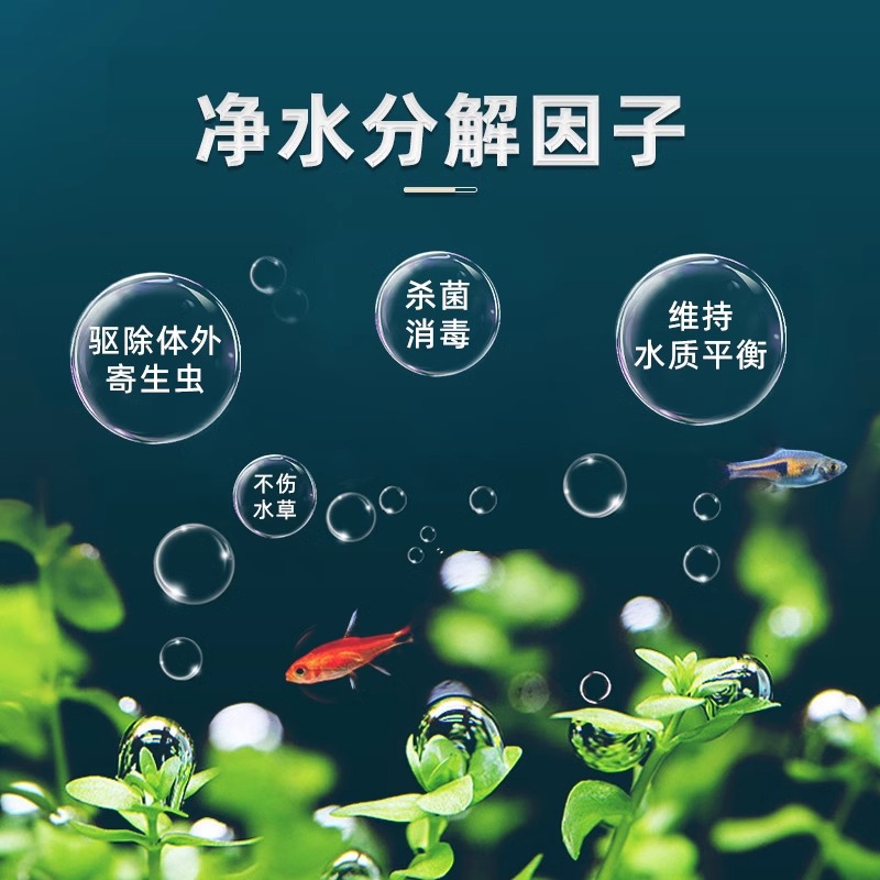 亚甲基蓝鱼缸鱼池肖毒剂水族观赏鱼水霉并烂身烂尾鱼缸杀君净水液