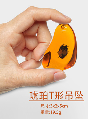 树脂琥珀挂坠 奇特工业品项链水滴形昆虫标本吊坠小饰品