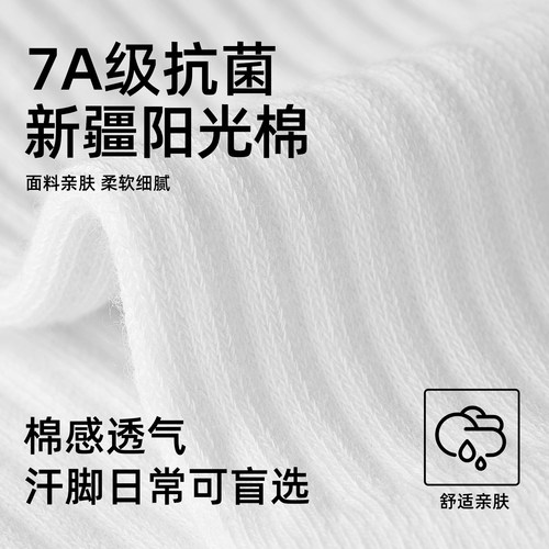 子墨袜子男士运动纯棉纱线中筒毛巾底夏季薄篮球美式长袜男生白袜 - 图1