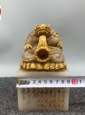 古玩仿寿山石雕荔枝冻印章带印文