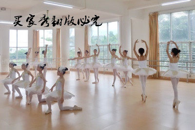 成人儿童专业芭蕾舞裙演出舞蹈服装定做睡美人女纱裙TUTU蓬蓬裙 - 图1